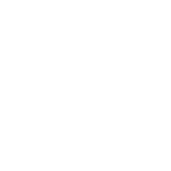 Ideas for website